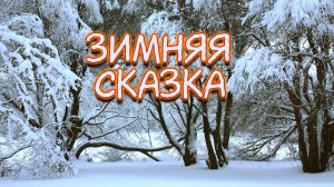 Зима в Москве. Парк Покровское-Стрешнево. Родник Царевна Лебедь. Река Химка.