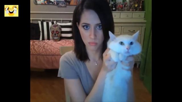 Приколы 2019.Покажи свою киску!Смех до слёз!))) смотреть онлайн