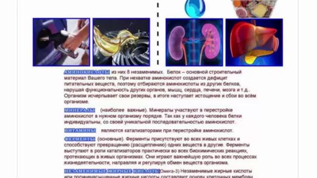 Фурор школа. Закисление организма причины и последствия. Часть-2 от 09.02.18г
