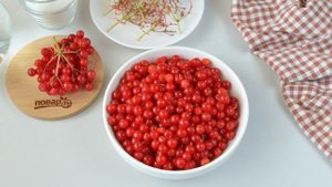 Компот из калины