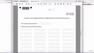 Какие коды ОКВЭД нужны для участия в госзакупках?