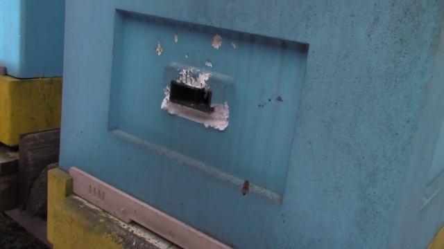 Пасека улья LYSON