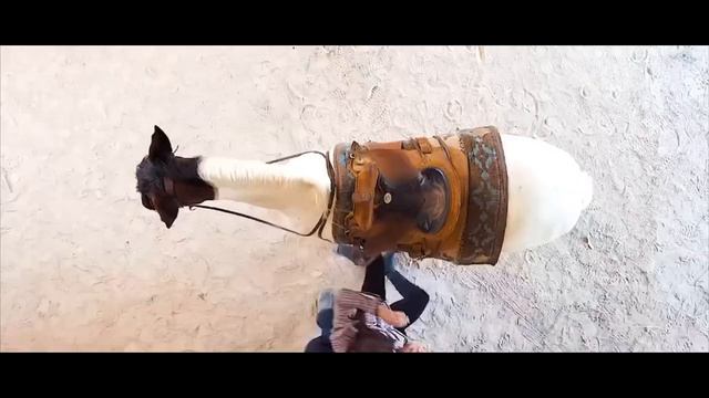 Самая популярная девушка в школе влюбилась в парня-ботаника смотреть онлайн