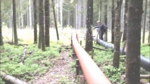 ГИБНУЩАЯ КРАСОТА   ЛЮБЛИНСКОЕ ОЗЕРО 3