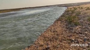 Река Ахангаран.