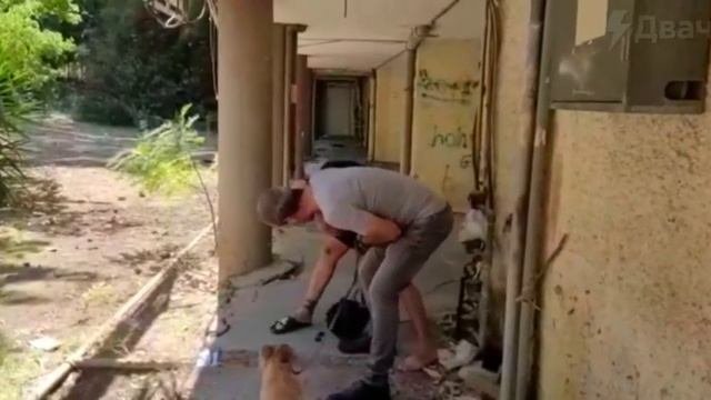 В Израиле собаковод докопался до мужика