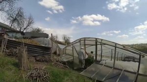 Посадка помидоров в пленочной теплице