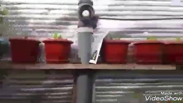 Обзор моей теплицы. Теплица по принципу Вегетарий Иванова. смотреть онлайн