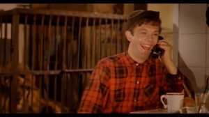 Сегодня   новый аттракцион