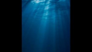 Что то на английском