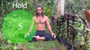 4-7-8 Calm Breathing Exercise I 5 Minute Guided Breathwork to Relax or Fall Asleep Fast