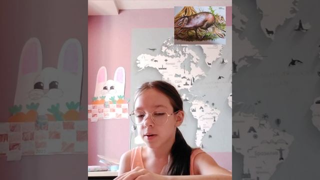 Прыгунчики или слоновые землеройки смотреть онлайн