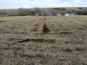 Воин света , косит сухостой , никакой жалости и сомнения!