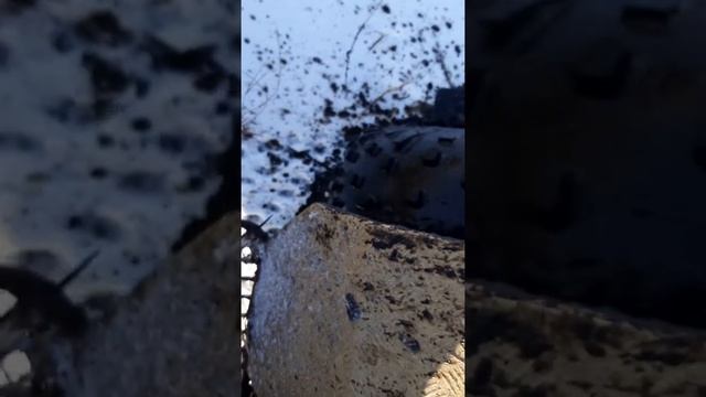 Сокол на тонком льду смотреть онлайн