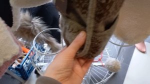 Железноводск. Что купить ?