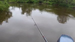 Большая вода, ловим Горбушу на воблер Mr. Musurok