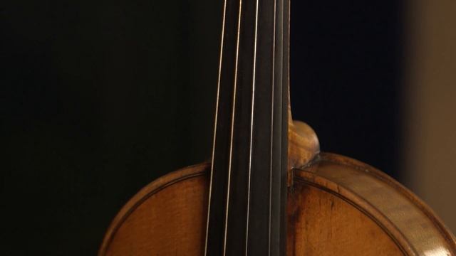 История музыкальных инструментов. История скрипки