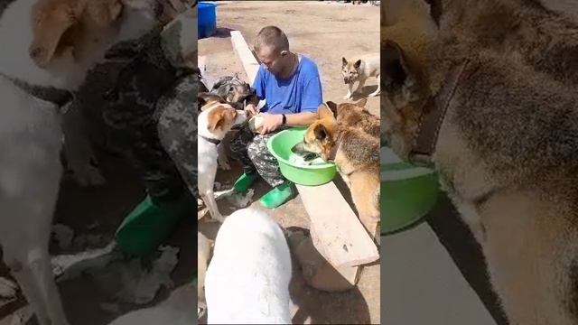 Ляль 100823