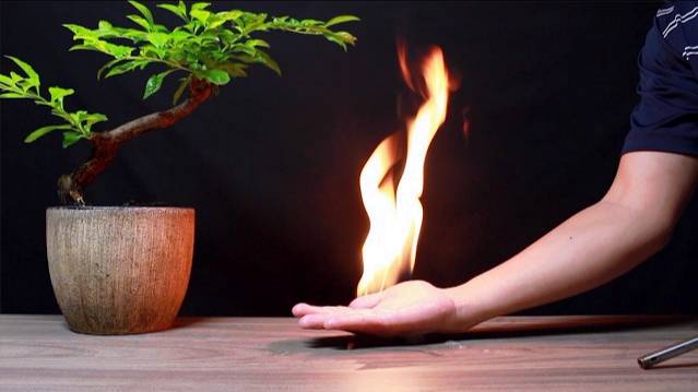 PLAY WITH FIRE | 10 SCIENCE EXPERIMENTS смотреть онлайн