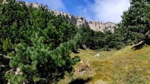 Восхождение на Зейтин-Кош.  Полуторатысячники Крыма