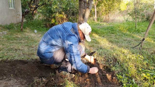 17 На камне серебро а снизу золото 3 смотреть онлайн