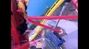 Сумасшедший Гонконг! Ocean Park Панды Акулы Пингвины, так близко вы их не видели!