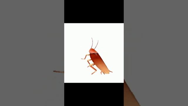 очередное видео какой-то девочки о ее путешествиях в спб смотреть онлайн