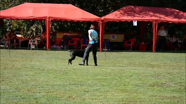 класс тренировочный смотреть онлайн