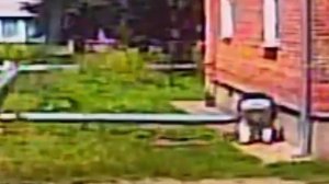 Рославль 12 Микрорайон Красноармейская