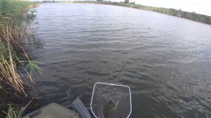 Карп (сазан) на поплавок с лодки в сентябре