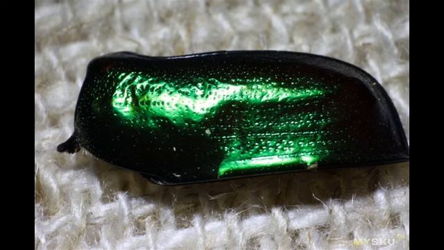 Реверсивный макроадаптер для объективов Canon EF. Снова о бюджетном макро | #Обзор смотреть онлайн