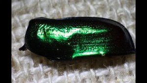 Реверсивный макроадаптер для объективов Canon EF. Снова о бюджетном макро | #Обзор