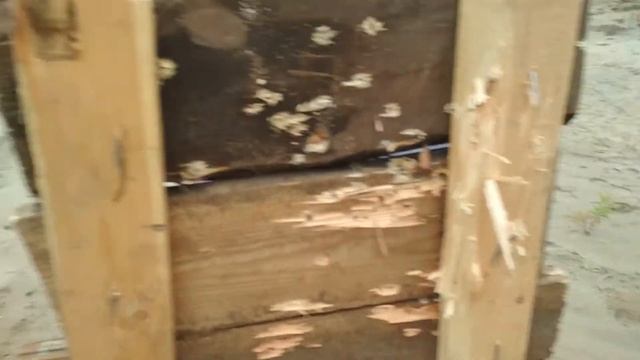 Мольберт для пристрелки оружия смотреть онлайн