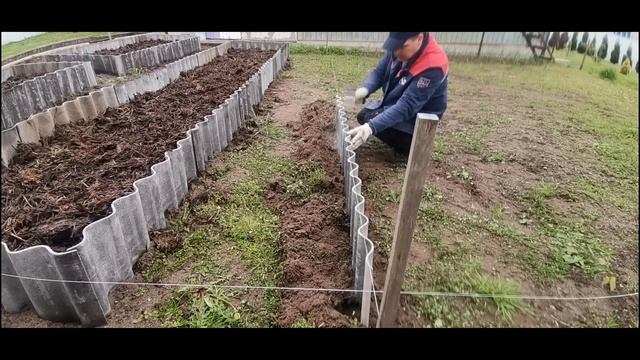 Высокие грядки из шифера своими руками. Видеоурок #сад #садоводство