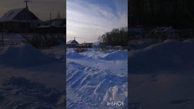 снежные истории