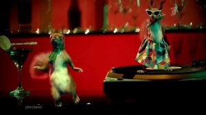 Новогодние заставки "Белки" Первого канала (2017-2018)