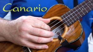 Canario (Antonio de Santa Cruz) - ukulele