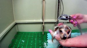 Комплексный уход.