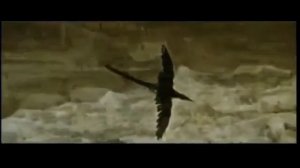 Бах И.С. Хоральная Прелюдия Фа Минор (Солярис)
