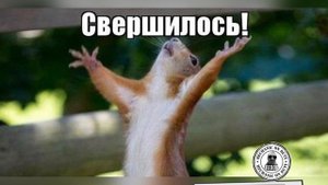 #Mercedes Benz#Вибрация двигателя#При включении #драйв #Причина# муфта генератора#