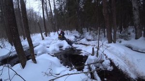 Стелс Капитан в сравнении с горным снегоходом BRP в лесу.