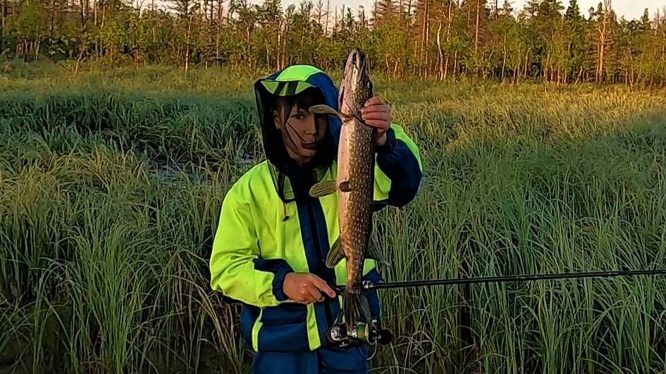 УДАЧНОЕ УТРО НА РЫБАЛКЕ, РЫБА СТЬ И КЛЁВ ЕСТЬ А СЕВЕРНАЯ ПОГОДКА ПРОСТО ШИКАРНАЯ!