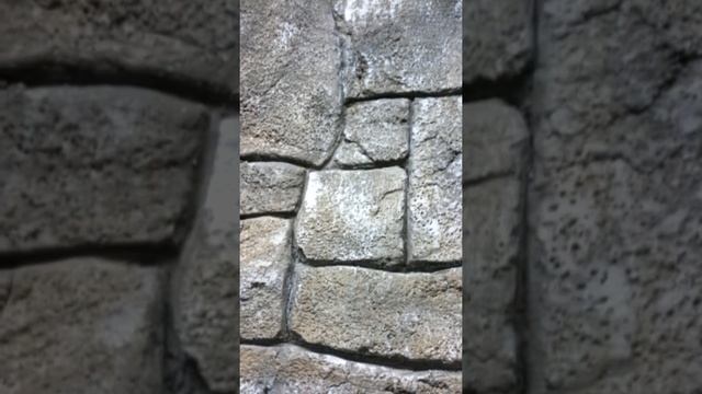 каминная комната смотреть онлайн