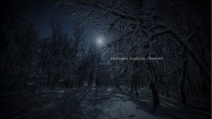 Snowfall