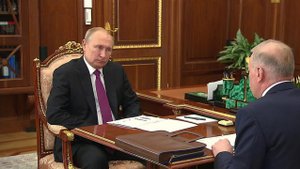 Палладиевый проект в Арктической зоне обсудил президент с главой компании "Русская платина"