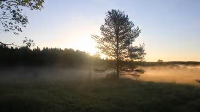 Восход солнца Таймлапс смотреть онлайн