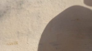 штампованный бетон