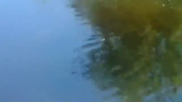 Рыбалка в начале июня на поплавочную удочку. смотреть онлайн