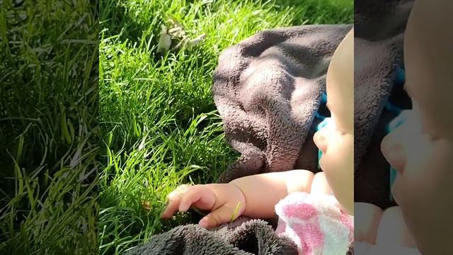 Познание мира- ползанье 💚🌿 Ребенок ползает по траве