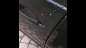 Volkswagen das auto (meme)